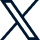 x icon